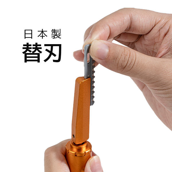 Replacement Blades for Electric Hair Thinning Razor